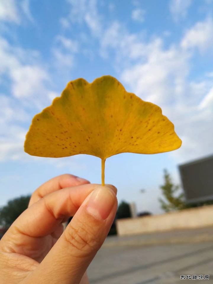 奶奶的味道