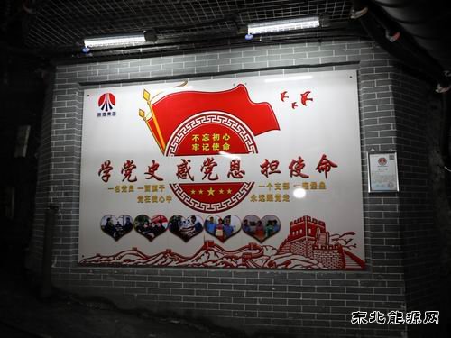 蒲白西固煤业：安全生产标准化建设呈现“一枝多秀”