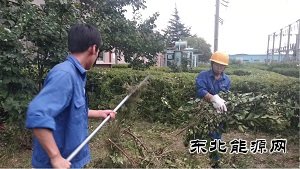 蒲白热电公司：人性化管理显担