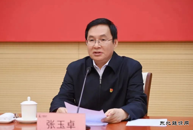 张玉卓：强化国有资本对电网等领域投入