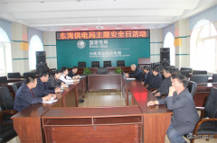 兴凯湖电业局：陈殿军局长参加东海供电主题安全日活动