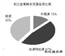 松辽盆地：迈向非常规新时代