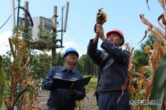 凯供城区分局：高温袭来 采取服务“加减法”应对“夏烤”