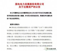 1元收购，背负18亿债务！谁将接盘国电电力？