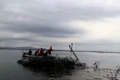 通河供电公司：抗洪抢险保供电 风雨无阻电力人