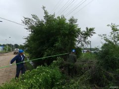 兴凯湖电业公司：盛夏全面清理树障 确保迎峰度夏、防汛安全供电