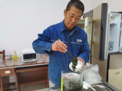 大兴安岭供电公司：电网大叔变身节约达人
