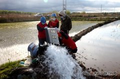 兴凯湖电业公司：电满黑土地 红红火火庆丰收