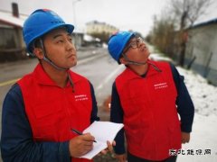 国网大兴安岭供电公司：雪后特巡 保电在行动
