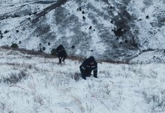 辽宁新bsport体育事业部：暴风雪中全力保供