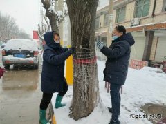 中心社区：用责任和担当“扮靓”矿区容颜
