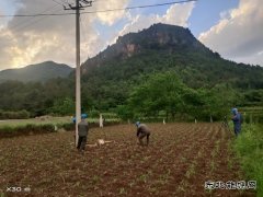 变压器故障：会泽供电局紧急抢修点亮67户山区村民