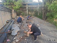 白水马南社区：紧急抢修 快速恢复居民供电
