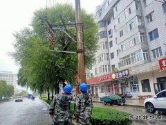 国网牡丹江东宁市供电公司：履职尽责保供电  彰显央企担当