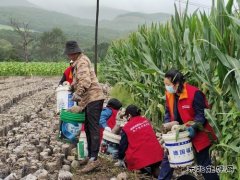 国网牡丹江东宁市供电公司：守望相助 同心重建