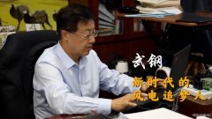 武钢：风电已成火电、水电之后的第三大主力电源