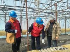 国网牡丹江东宁市供电公司：撑起“安全伞”助力企业“开门红”