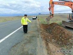 富蕴执法大队：开展路域环境整治行动 全面提升公路“颜值”